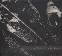 Atrium Animae : Dies Irae